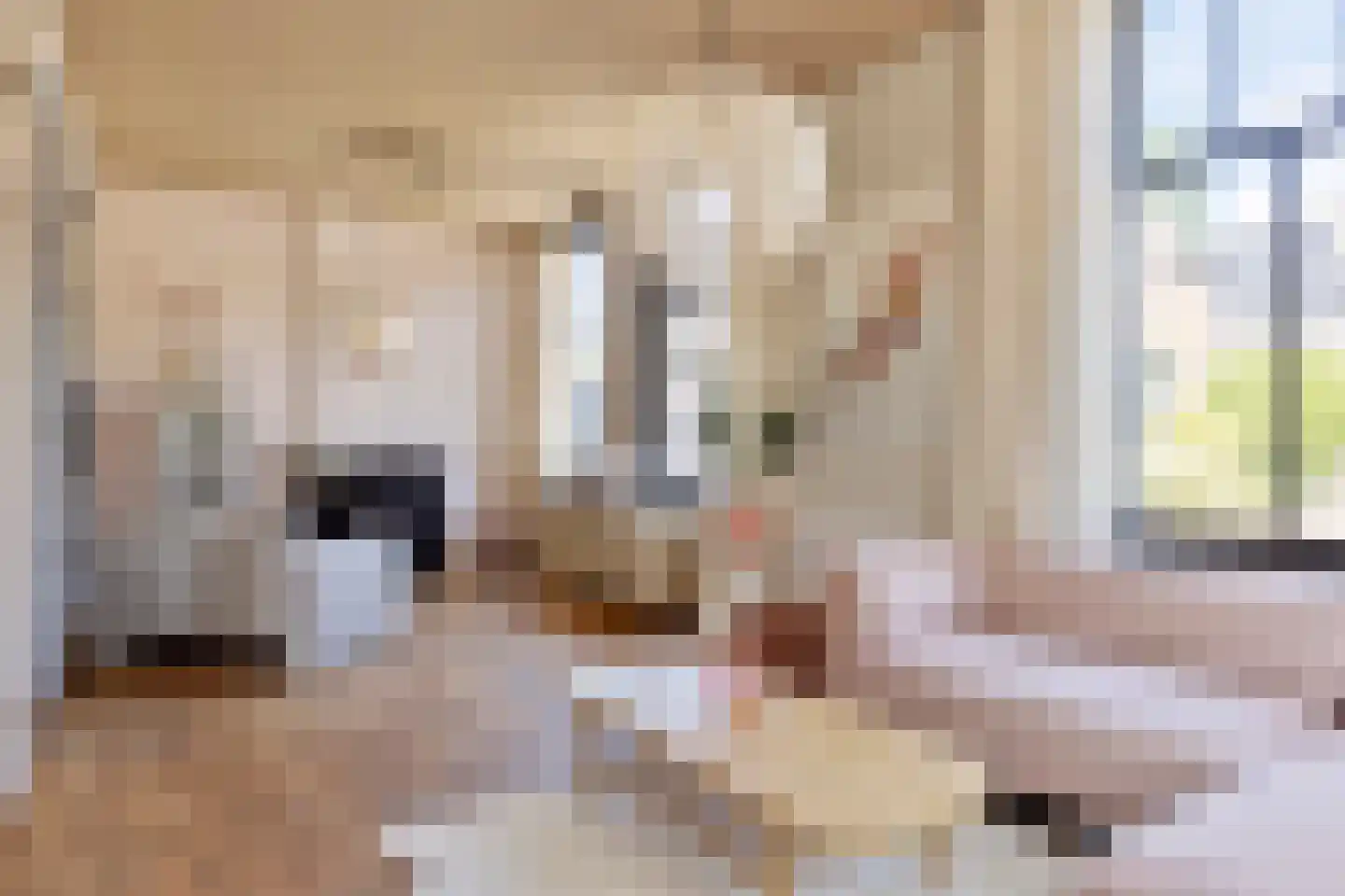 Dr. Alfons Ariënsstraat 19 Steenderen thumbnail 6