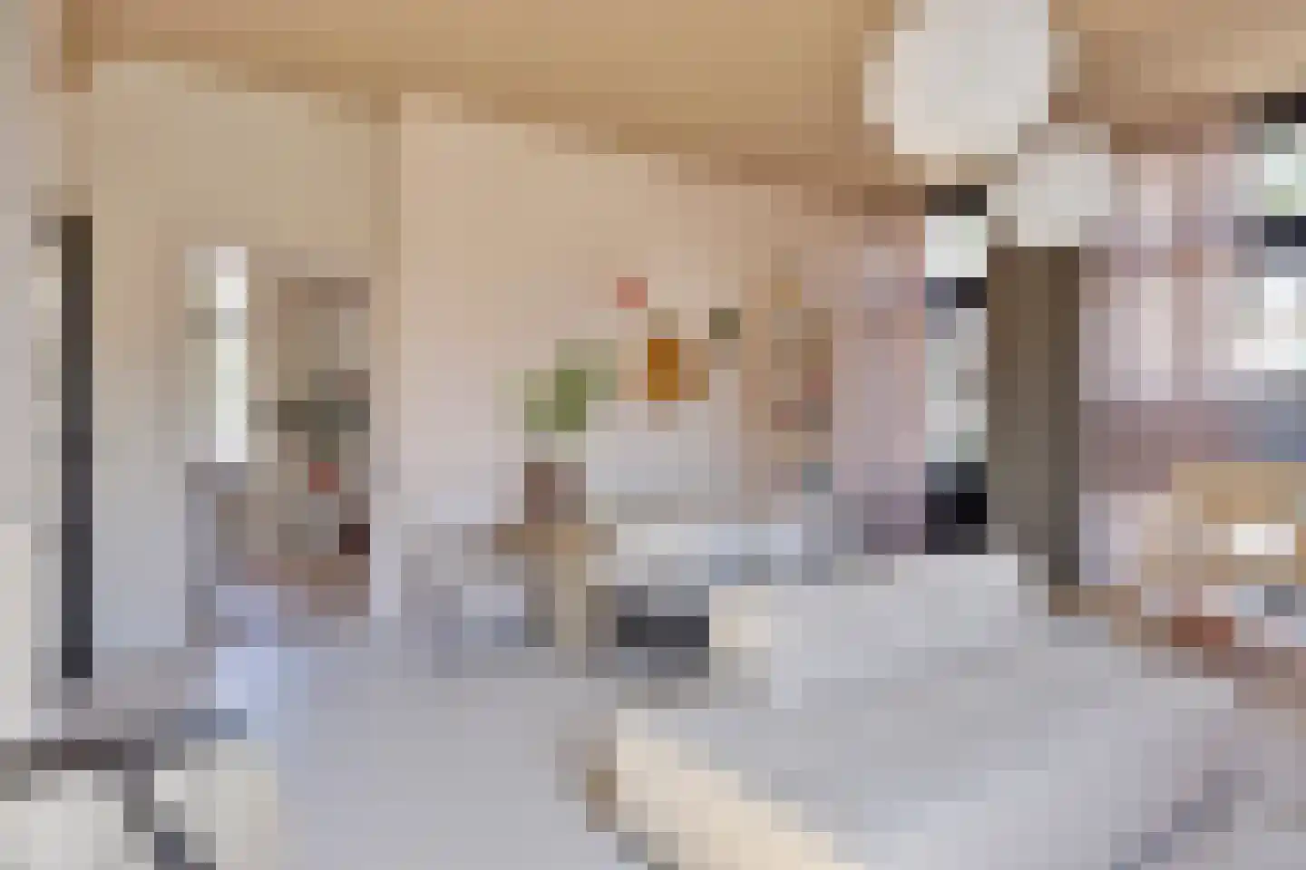 Dr. Alfons Ariënsstraat 19 Steenderen thumbnail 7