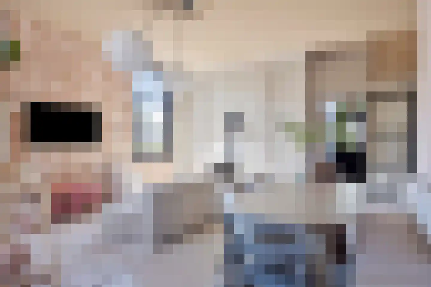 Dr. Alfons Ariënsstraat 19 Steenderen thumbnail 8