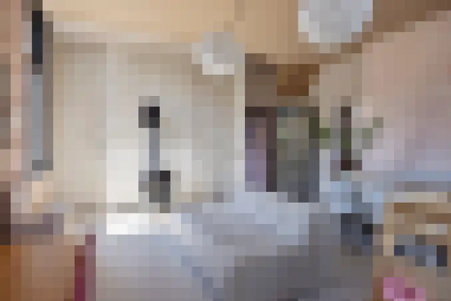 Dr. Alfons Ariënsstraat 19 Steenderen thumbnail 9