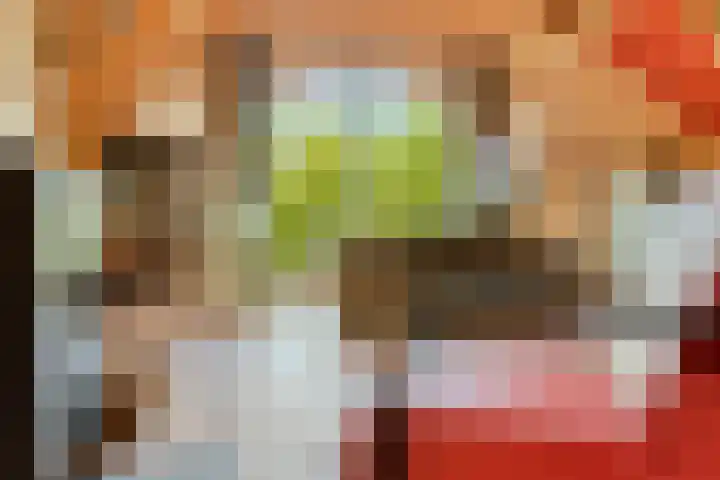 Dr. Alfons Ariënsstraat 41 Steenderen thumbnail 17
