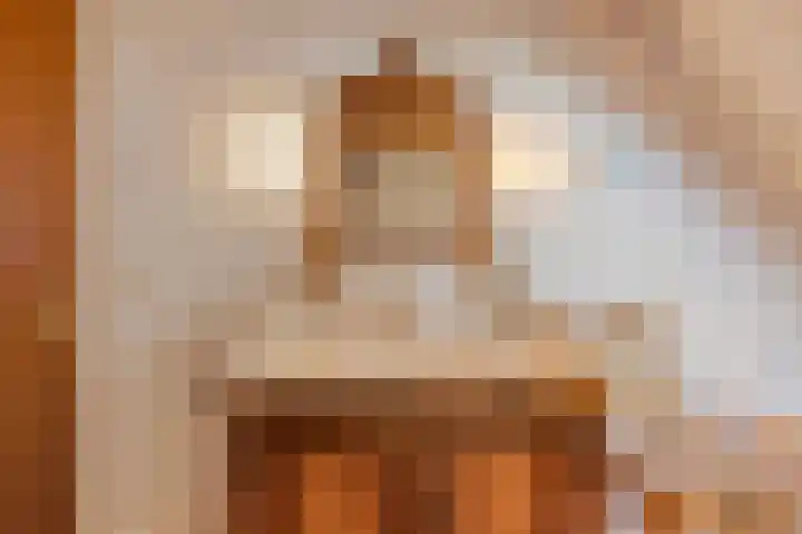 Dr. Alfons Ariënsstraat 41 Steenderen thumbnail 32