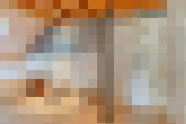 Dr. Alfons Ariënsstraat 41 Steenderen thumbnail 33