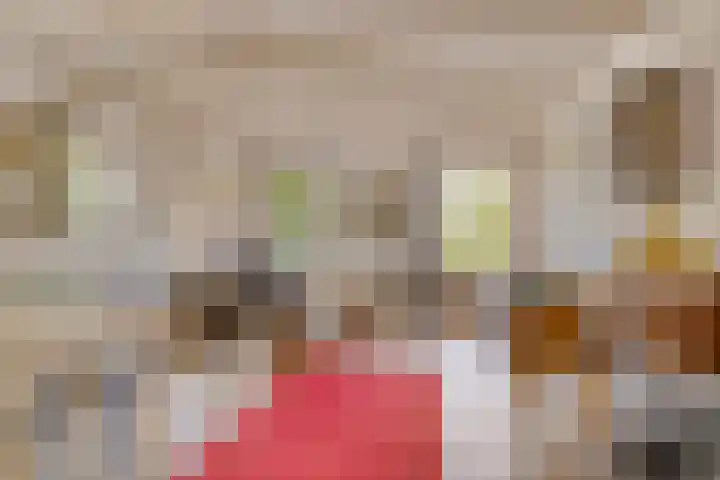 Dr. Alfons Ariënsstraat 41 Steenderen thumbnail 39