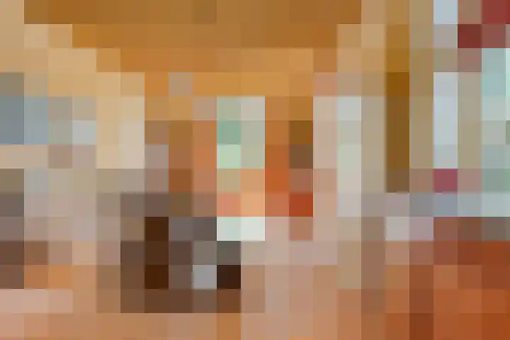 Dr. Alfons Ariënsstraat 41 Steenderen thumbnail 4