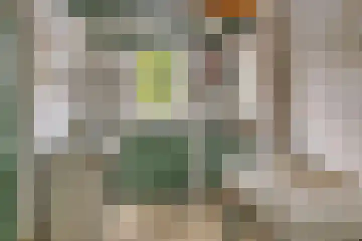 Dr. Alfons Ariënsstraat 41 Steenderen thumbnail 46