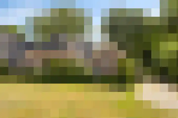 Dr. Alfons Ariënsstraat 41 Steenderen thumbnail 52