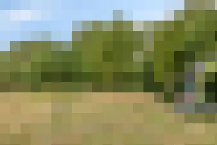 Dr. Alfons Ariënsstraat 41 Steenderen thumbnail 56