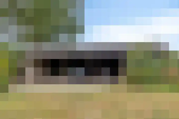 Dr. Alfons Ariënsstraat 41 Steenderen thumbnail 58