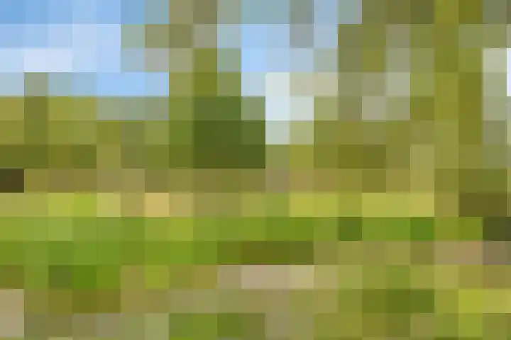 Dr. Alfons Ariënsstraat 41 Steenderen thumbnail 62