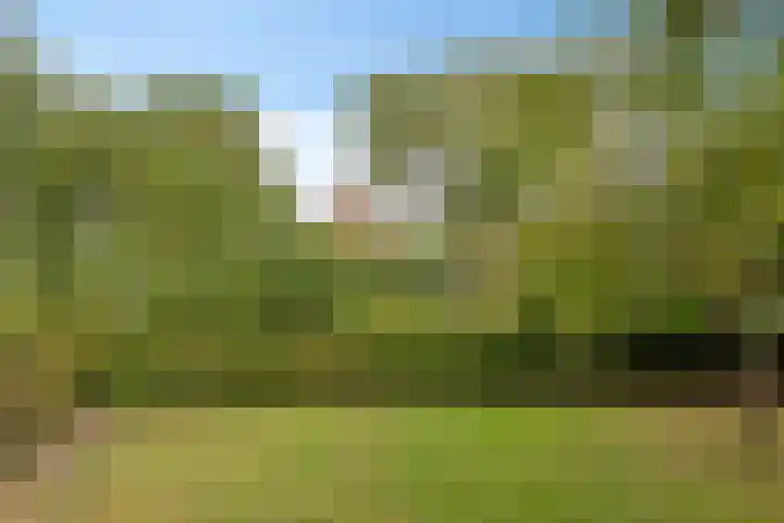 Dr. Alfons Ariënsstraat 41 Steenderen thumbnail 64