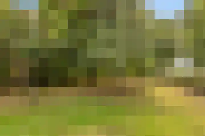 Dr. Alfons Ariënsstraat 41 Steenderen thumbnail 65