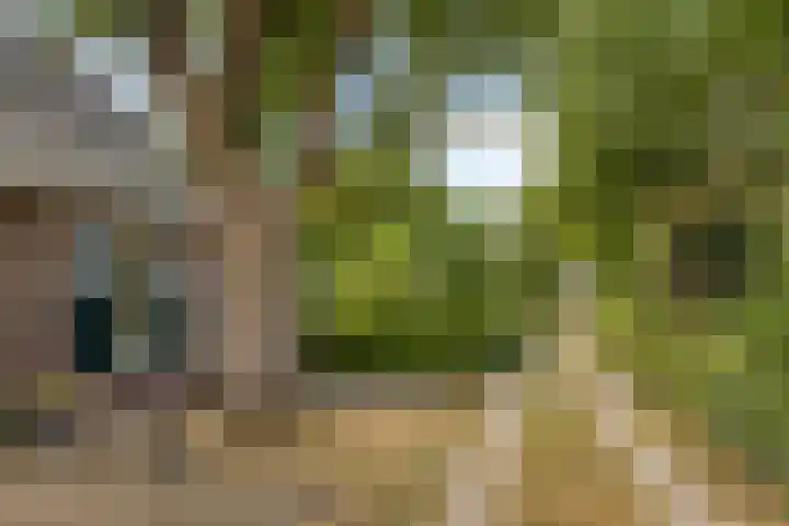 Dr. Alfons Ariënsstraat 41 Steenderen thumbnail 70