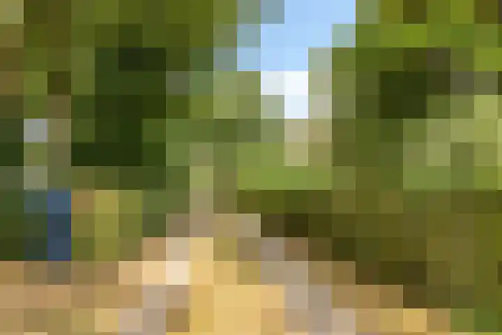 Dr. Alfons Ariënsstraat 41 Steenderen thumbnail 72