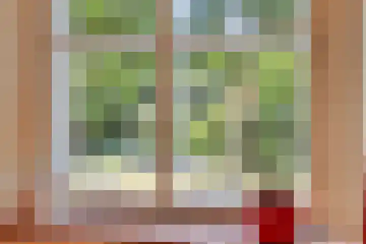 Dr. Alfons Ariënsstraat 41 Steenderen thumbnail 8