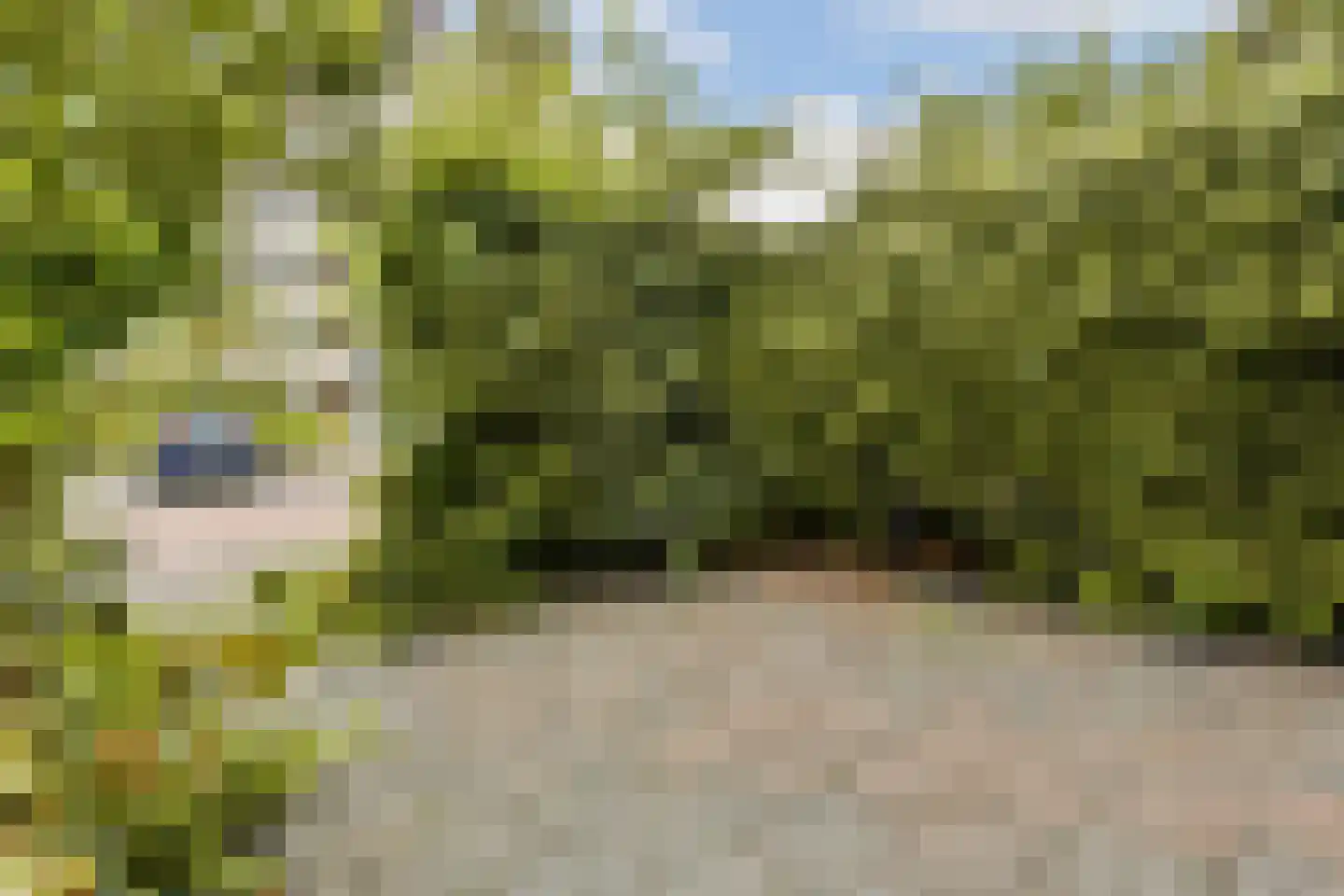 Dr. Allard Piersonstraat 10 Amstelveen thumbnail 8