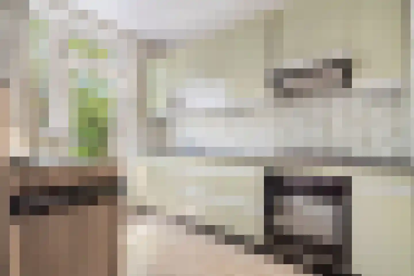 Dr. Alphons Diepenbrockstraat 31 Nootdorp thumbnail 11