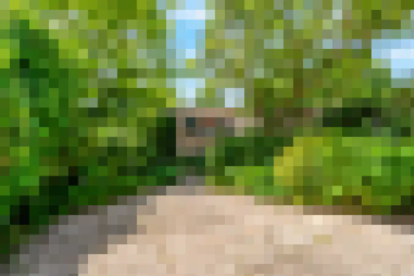Dr. Alphons Diepenbrockstraat 31 Nootdorp thumbnail 17