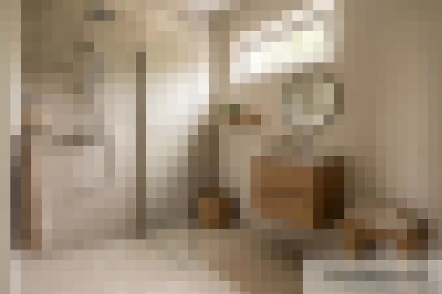 Dr. Alphons Diepenbrockstraat 31 Nootdorp thumbnail 32