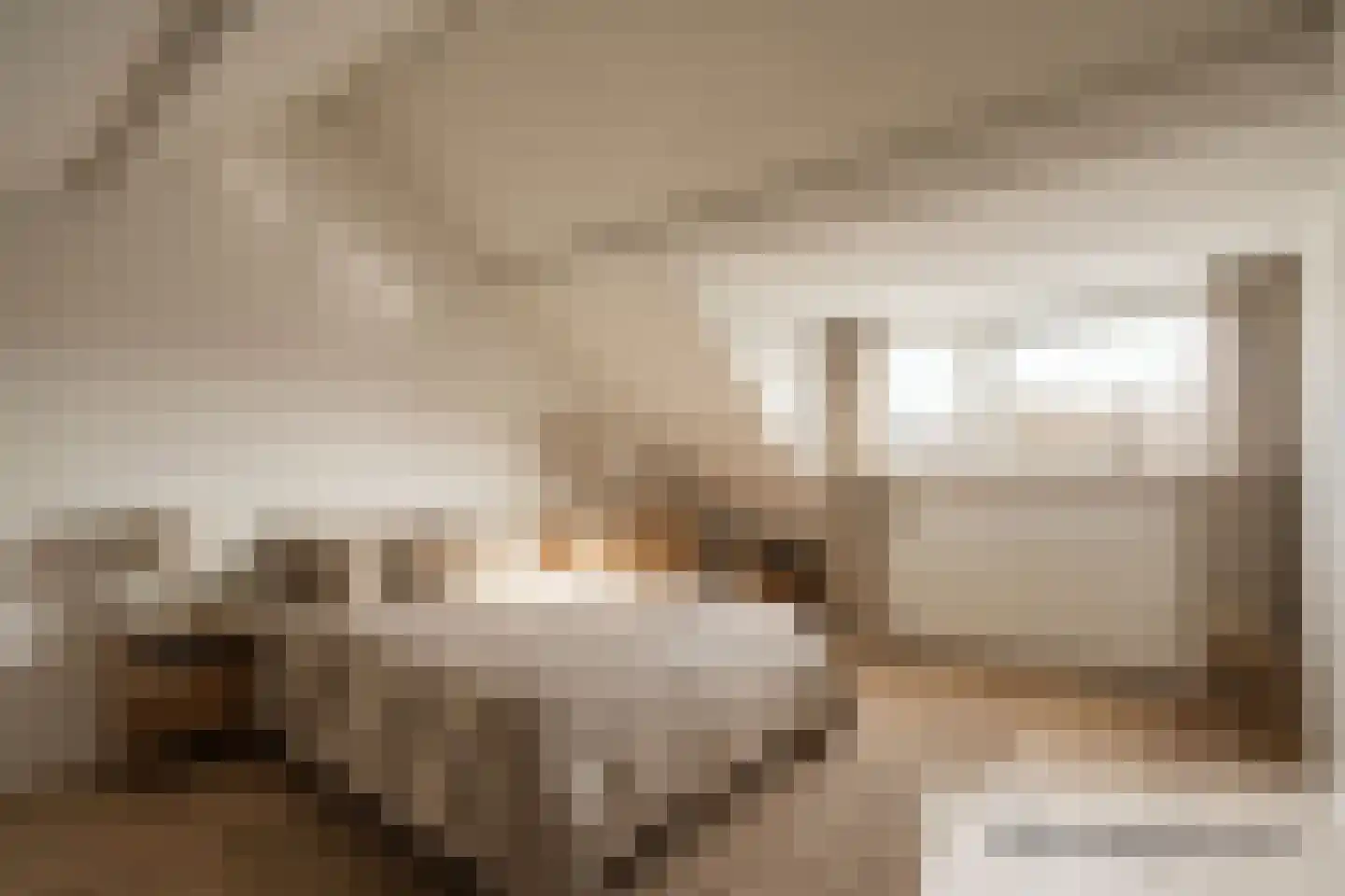 Dr. Alphons Diepenbrockstraat 31 Nootdorp thumbnail 36