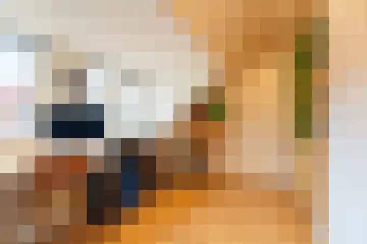 Dr. Ammanstraat 14 Warmond thumbnail 22