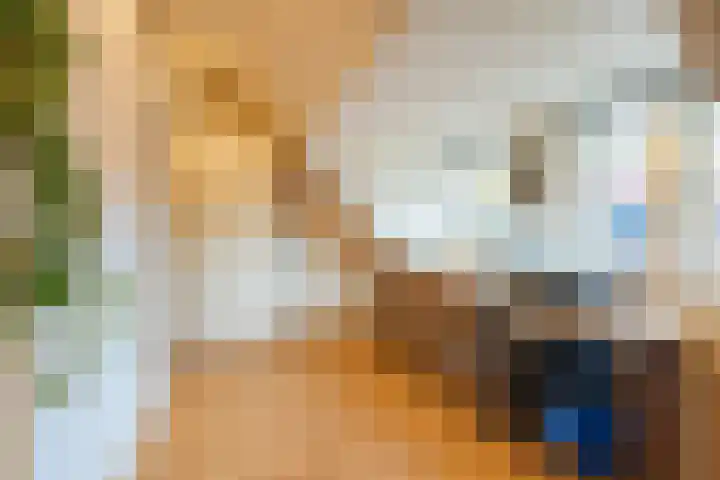 Dr. Ammanstraat 14 Warmond thumbnail 23