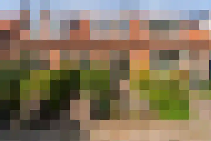 Dr. Ammanstraat 14 Warmond thumbnail 24