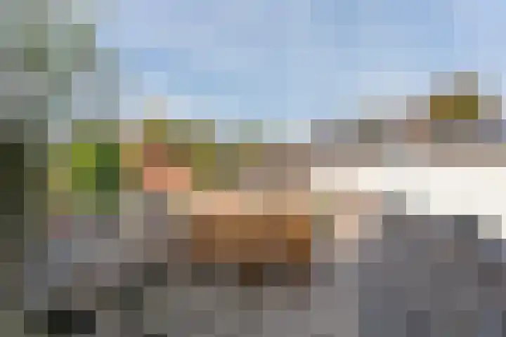 Dr. Ammanstraat 14 Warmond thumbnail 28