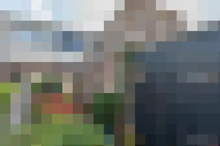 Dr. Ammanstraat 14 Warmond thumbnail 30
