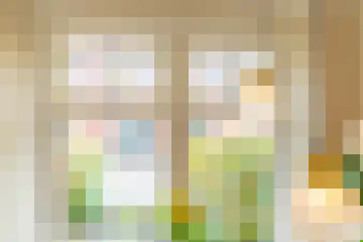 Dr. Ammanstraat 14 Warmond thumbnail 8
