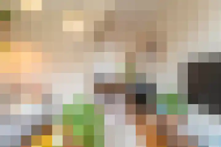 Dr. Ammanstraat 14 Warmond thumbnail 9