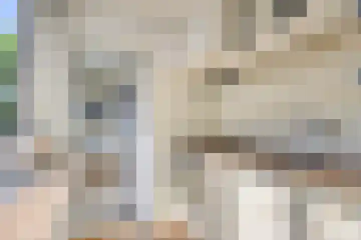 Dr. Ammanstraat 8 Warmond thumbnail 19