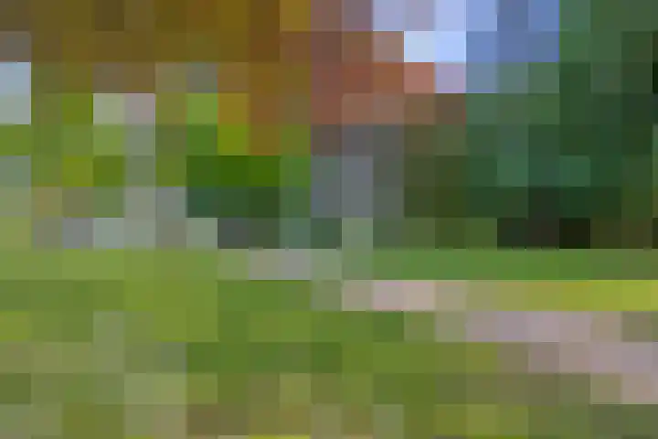 Dr. Ammanstraat 8 Warmond thumbnail 40