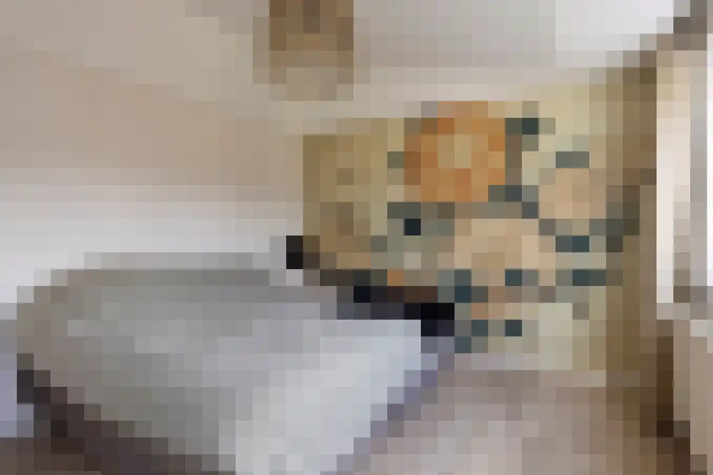 Dr. Ant. Mathijsenstraat 27 Budel thumbnail 21