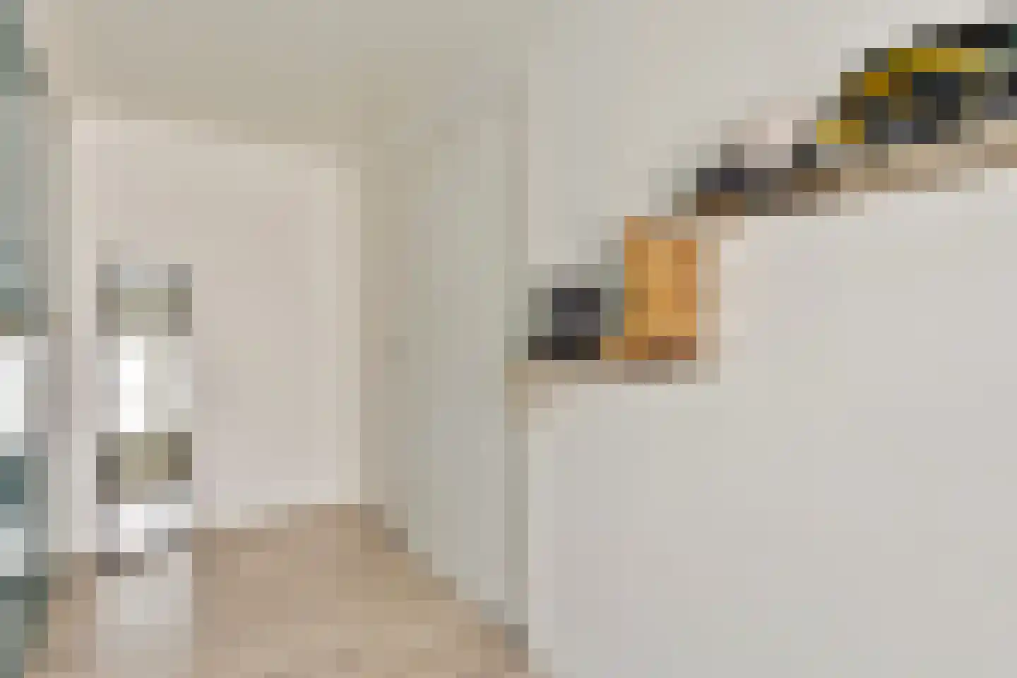 Dr. Ant. Mathijsenstraat 27 Budel thumbnail 24