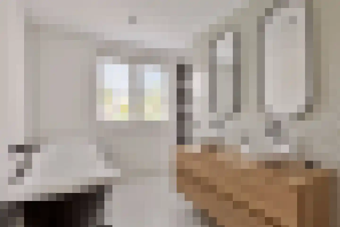 Dr. Ant. Mathijsenstraat 27 Budel thumbnail 25