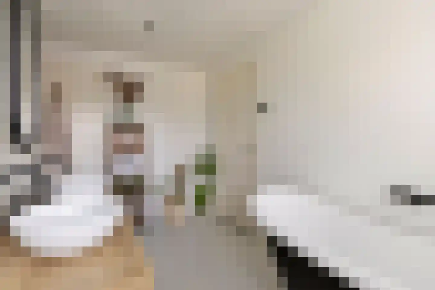 Dr. Ant. Mathijsenstraat 27 Budel thumbnail 26
