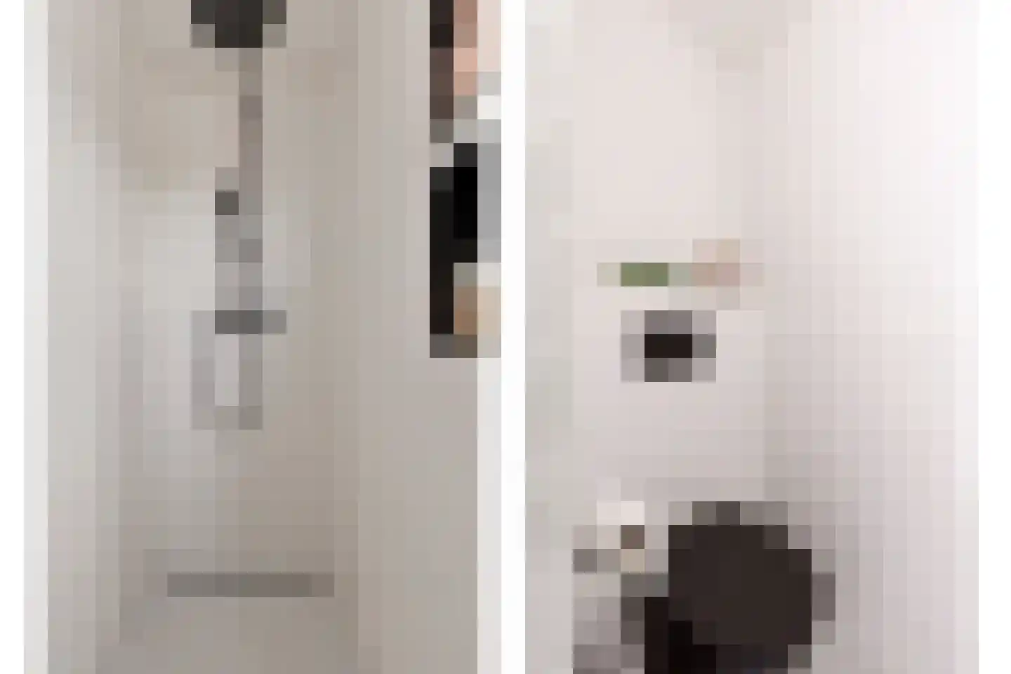 Dr. Ant. Mathijsenstraat 27 Budel thumbnail 27