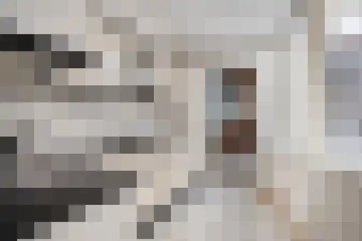 Dr. Ant. Mathijsenstraat 50 Budel thumbnail 10