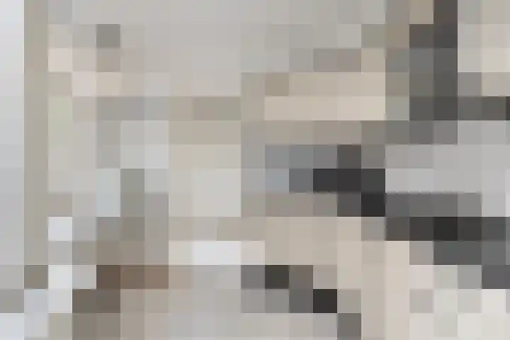 Dr. Ant. Mathijsenstraat 50 Budel thumbnail 11