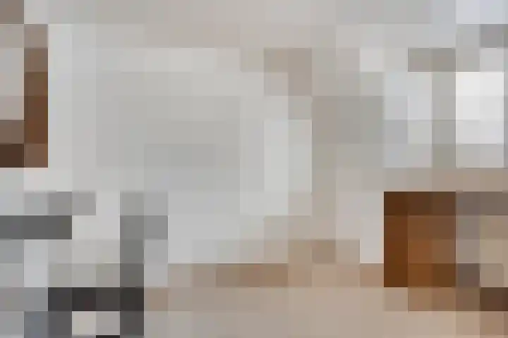 Dr. Ant. Mathijsenstraat 50 Budel thumbnail 19