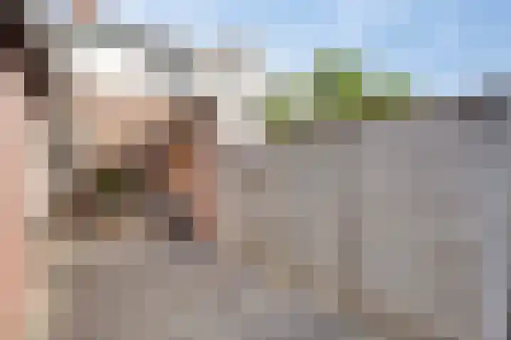 Dr. Ant. Mathijsenstraat 50 Budel thumbnail 21