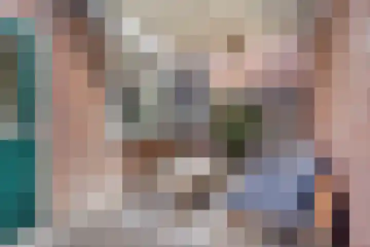 Dr. Ant. Mathijsenstraat 50 Budel thumbnail 22