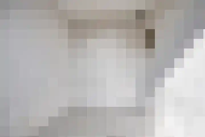 Dr. Ant. Mathijsenstraat 50 Budel thumbnail 25