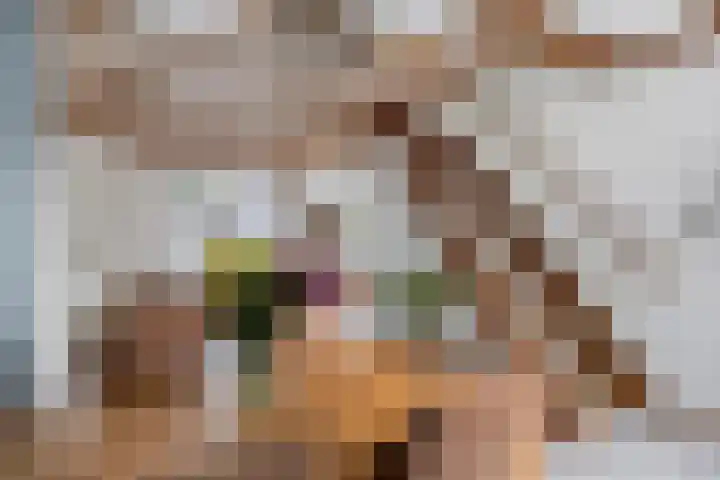 Dr. Ant. Mathijsenstraat 50 Budel thumbnail 9