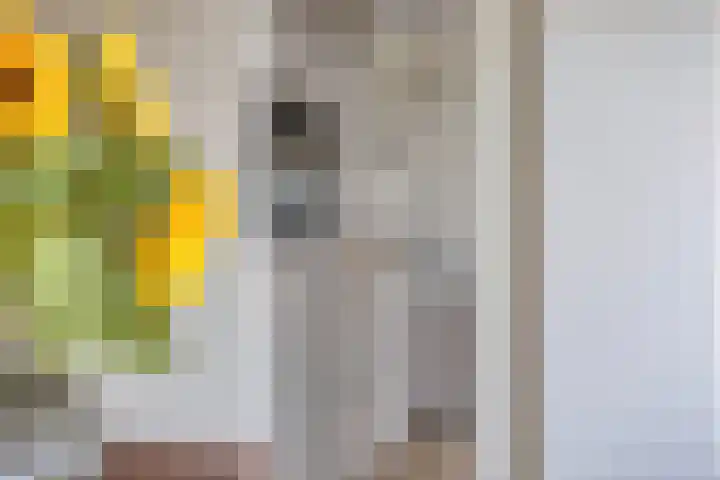 Dr. Arienslaan 126 Maarssen thumbnail 13