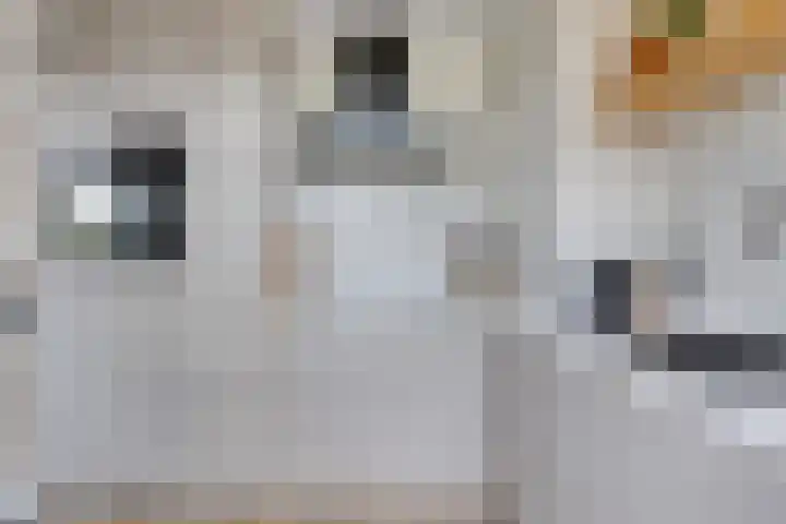 Dr. Arienslaan 126 Maarssen thumbnail 14