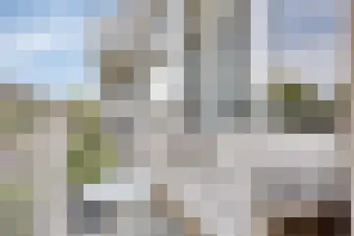 Dr. Arienslaan 126 Maarssen thumbnail 24
