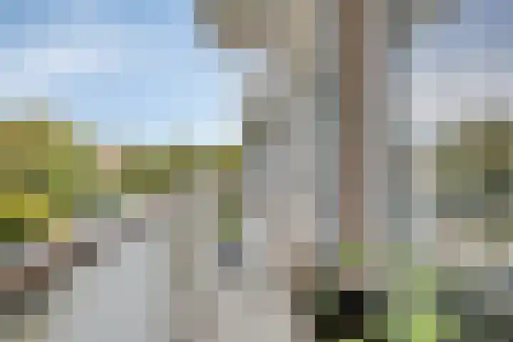 Dr. Arienslaan 126 Maarssen thumbnail 25
