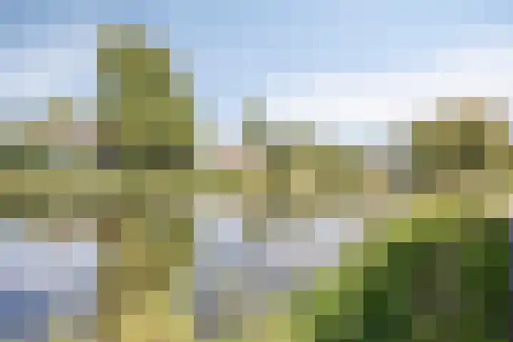 Dr. Arienslaan 126 Maarssen thumbnail 26